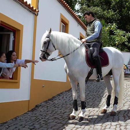 Вілла Quinta Do Malhinha- Turismo Ангра-ду-Ероїшму Екстер'єр фото