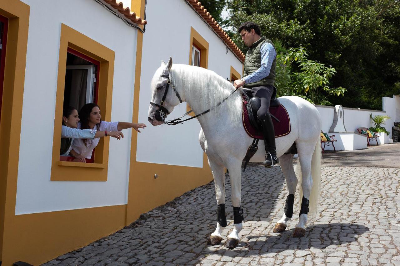 Вілла Quinta Do Malhinha- Turismo Ангра-ду-Ероїшму Екстер'єр фото