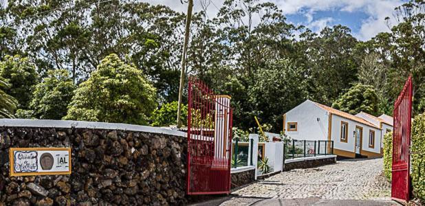 Вілла Quinta Do Malhinha- Turismo Ангра-ду-Ероїшму Екстер'єр фото
