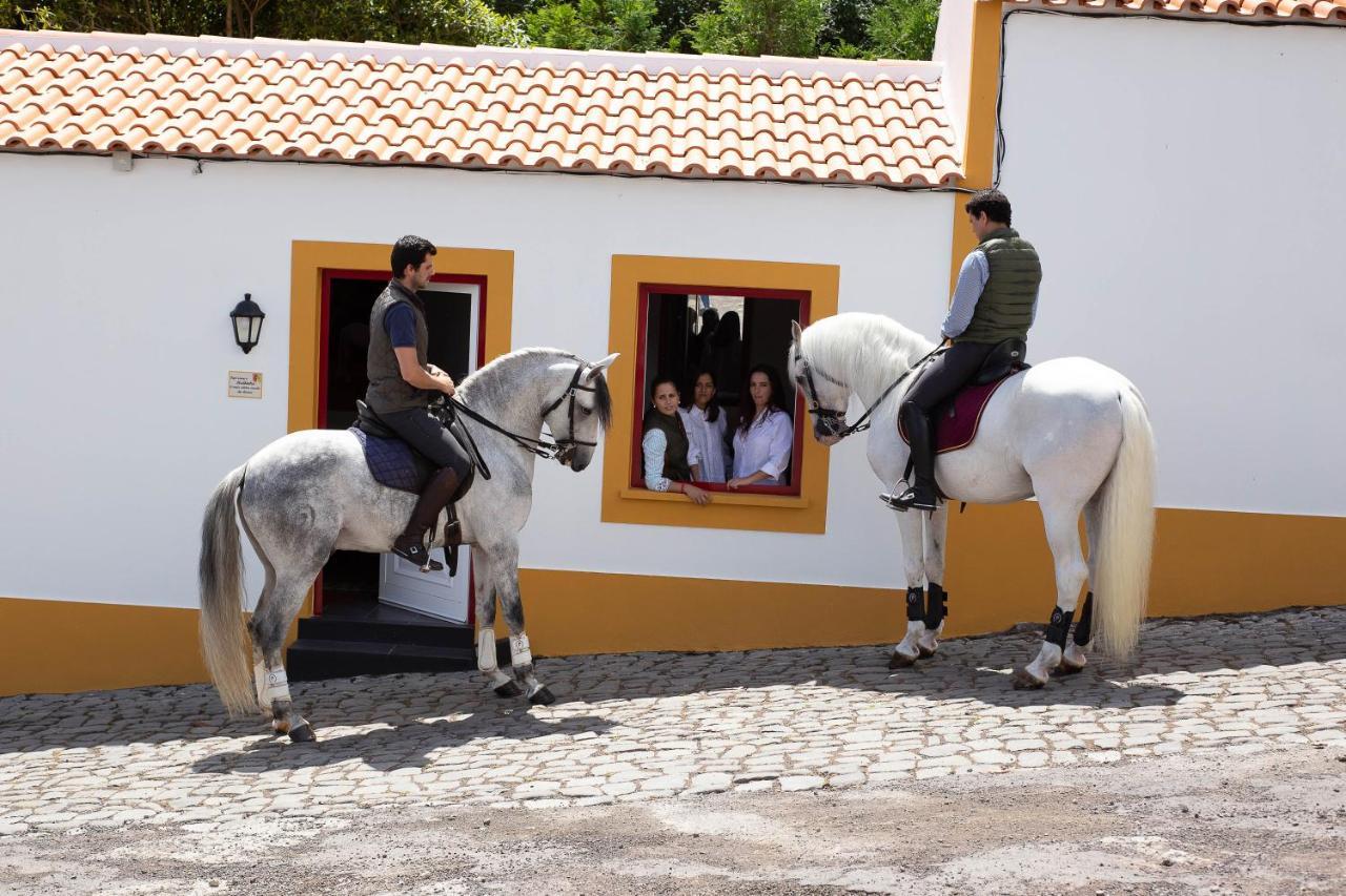 Вілла Quinta Do Malhinha- Turismo Ангра-ду-Ероїшму Екстер'єр фото