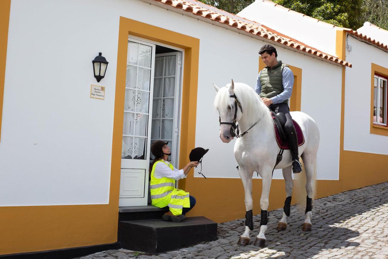 Вілла Quinta Do Malhinha- Turismo Ангра-ду-Ероїшму Екстер'єр фото